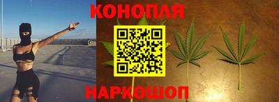 стаф Кимры