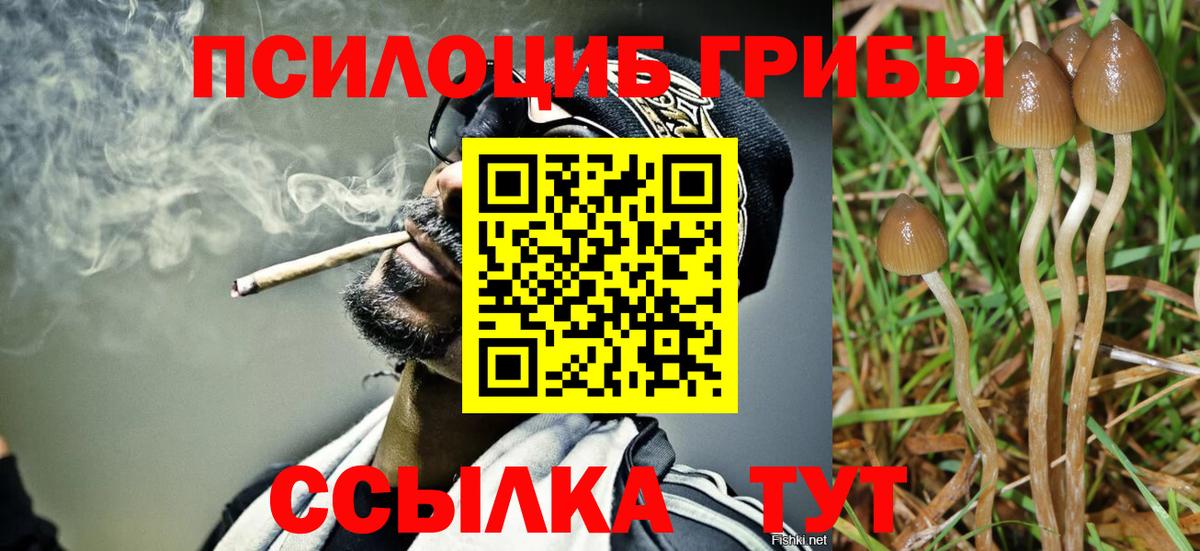 Псилоцибиновые грибы мухоморы Карачаевск