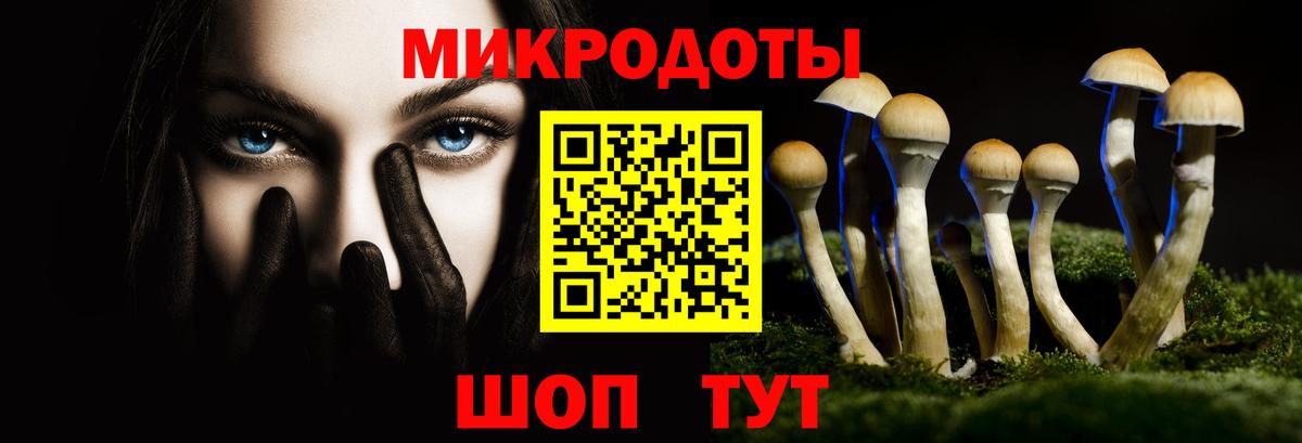Карачаевск  Псилоцибиновые грибы Psilocybe  Вход с VPN 