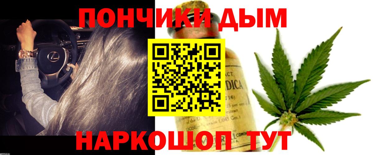Бошки марихуана ГИДРОПОН  Вход с VPN  Бошки марихуана THC 21%  Каннабис Amnesia  Марихуана SATIVA & INDICA  Карачаевск 